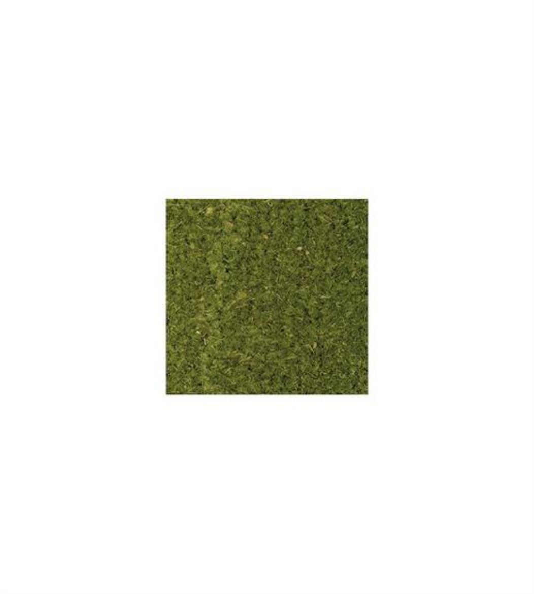 Billede af Kokosplyds Grøn 17mm - 2x12,5m